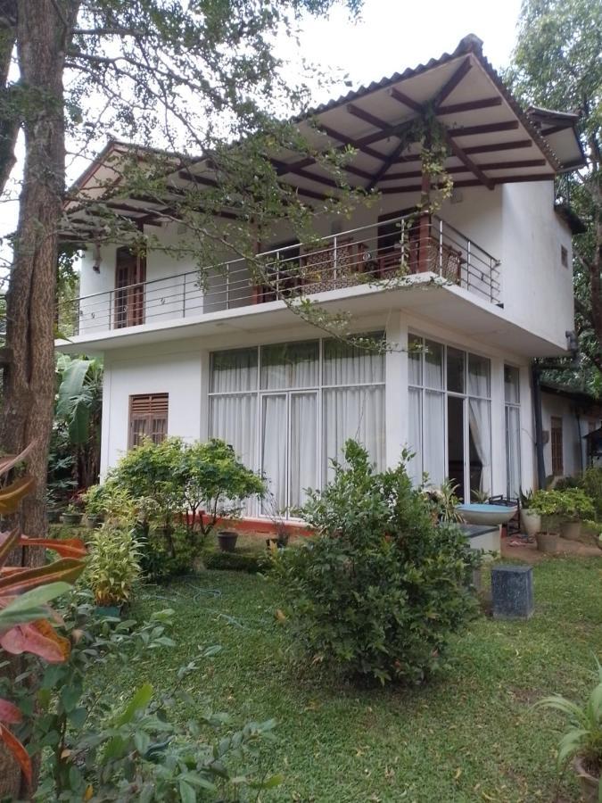Habarana New Star Homestay エクステリア 写真