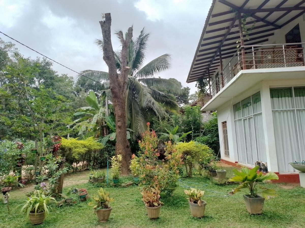 Habarana New Star Homestay エクステリア 写真