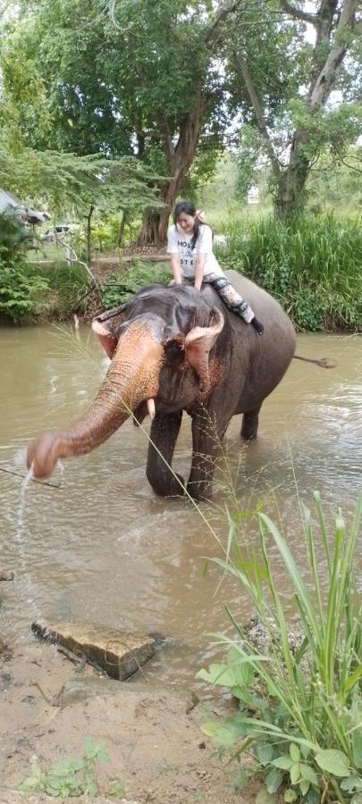 Habarana New Star Homestay エクステリア 写真