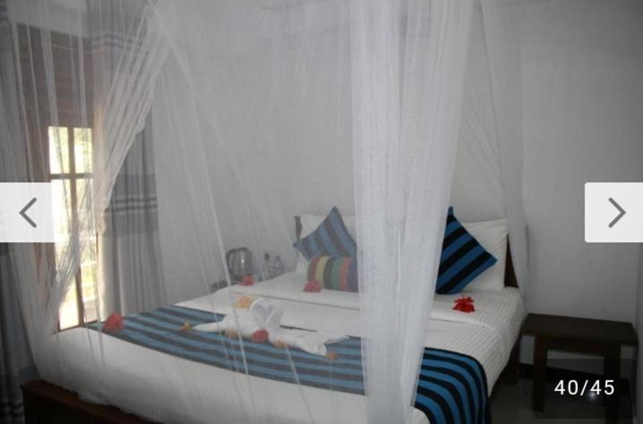 Habarana New Star Homestay エクステリア 写真