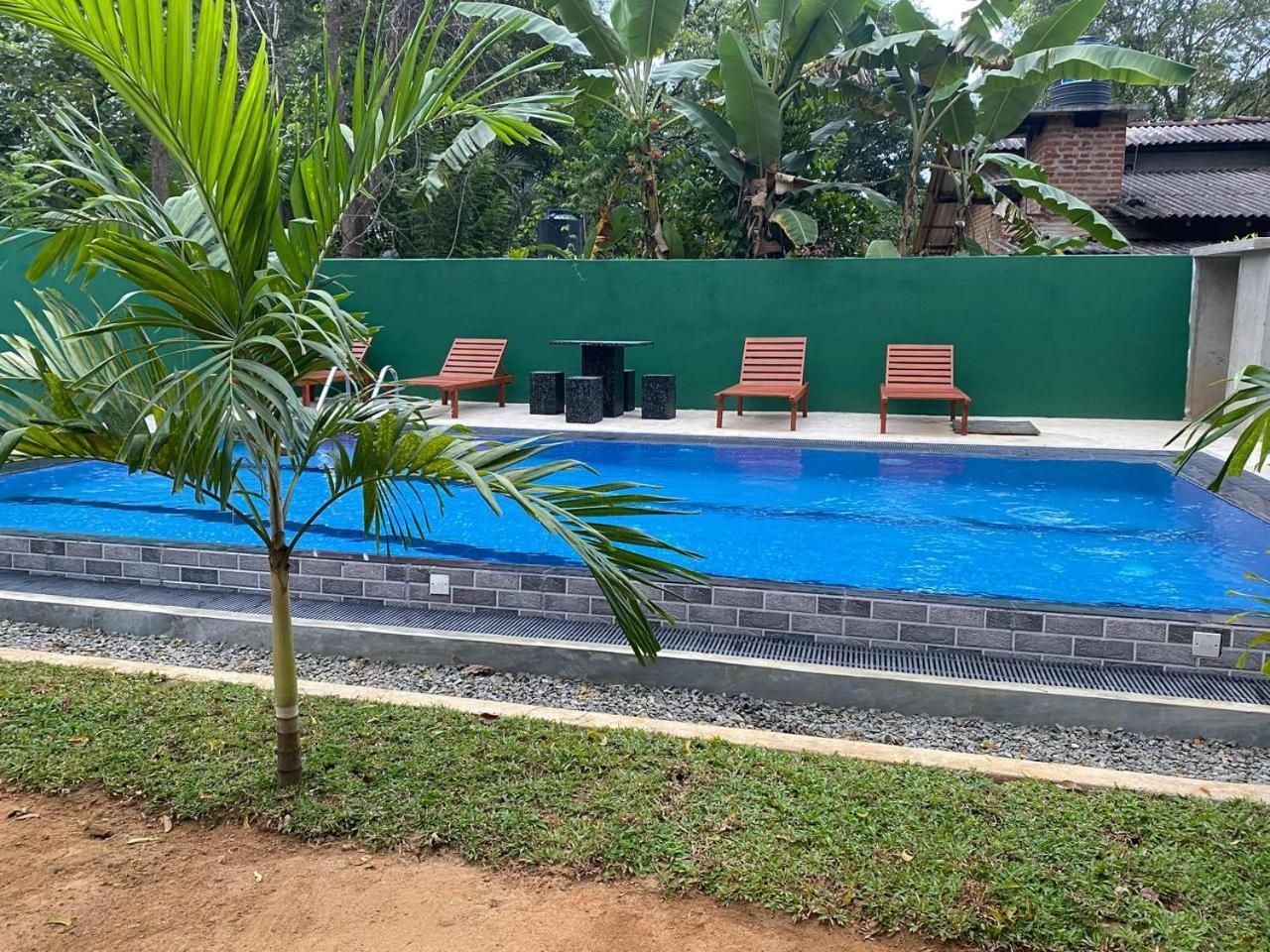 Habarana New Star Homestay エクステリア 写真